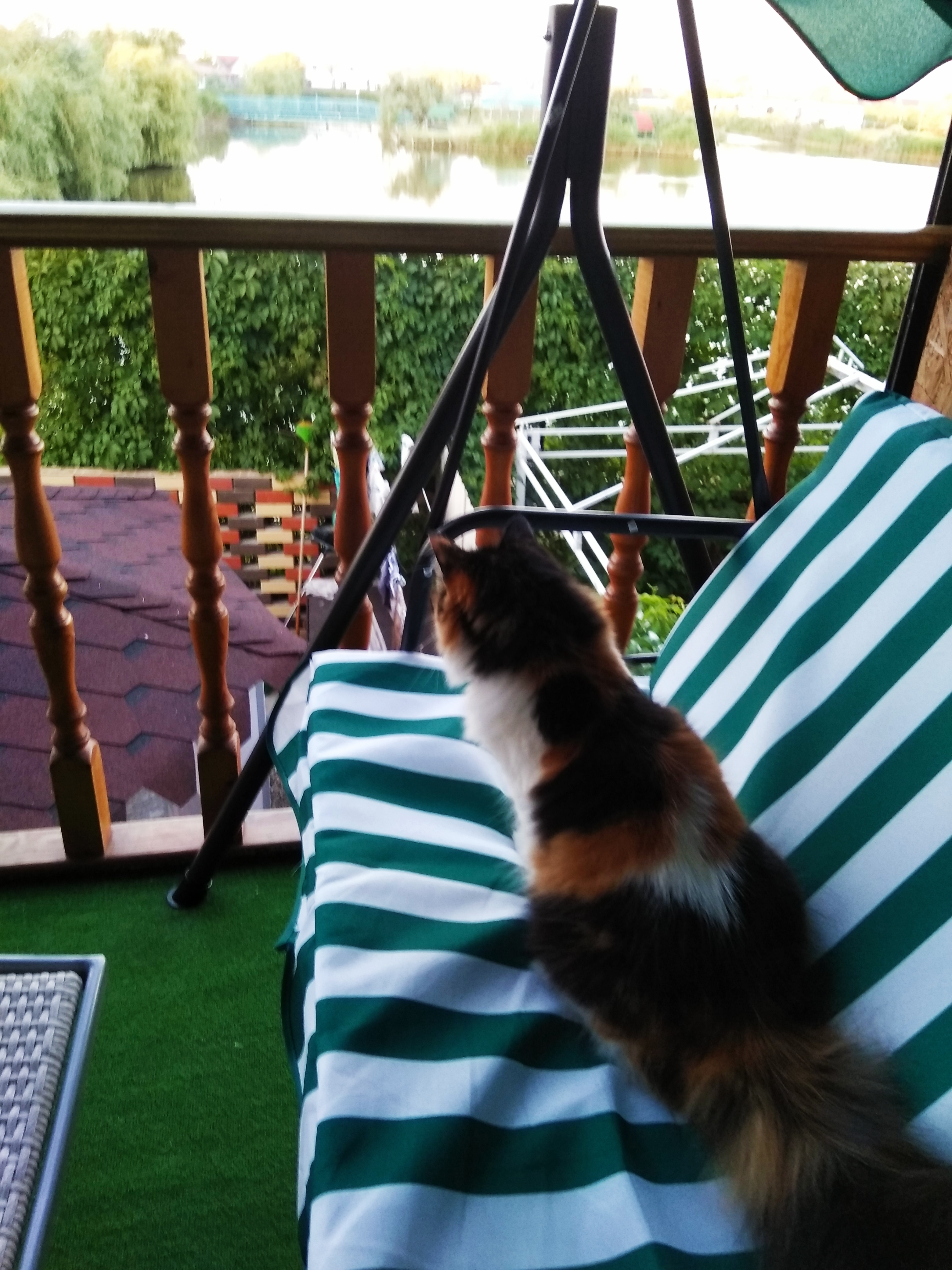 Фото Солнечный