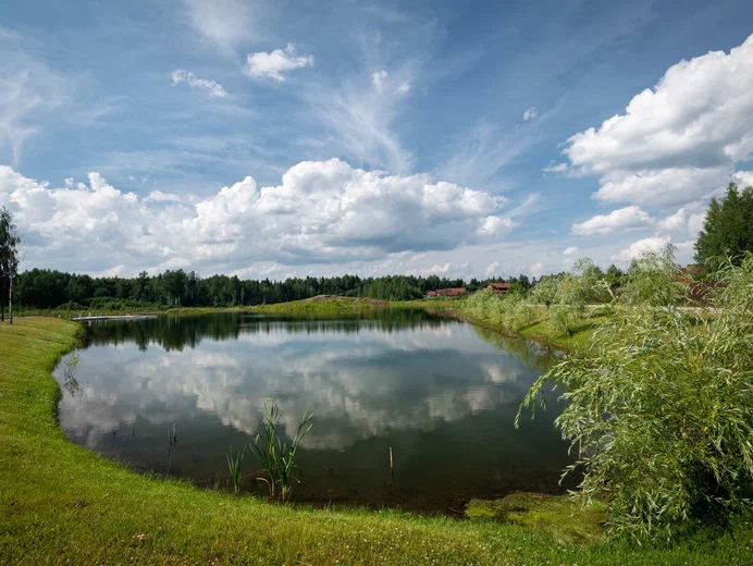 Фото Эко-отель Руза Фэмили парк