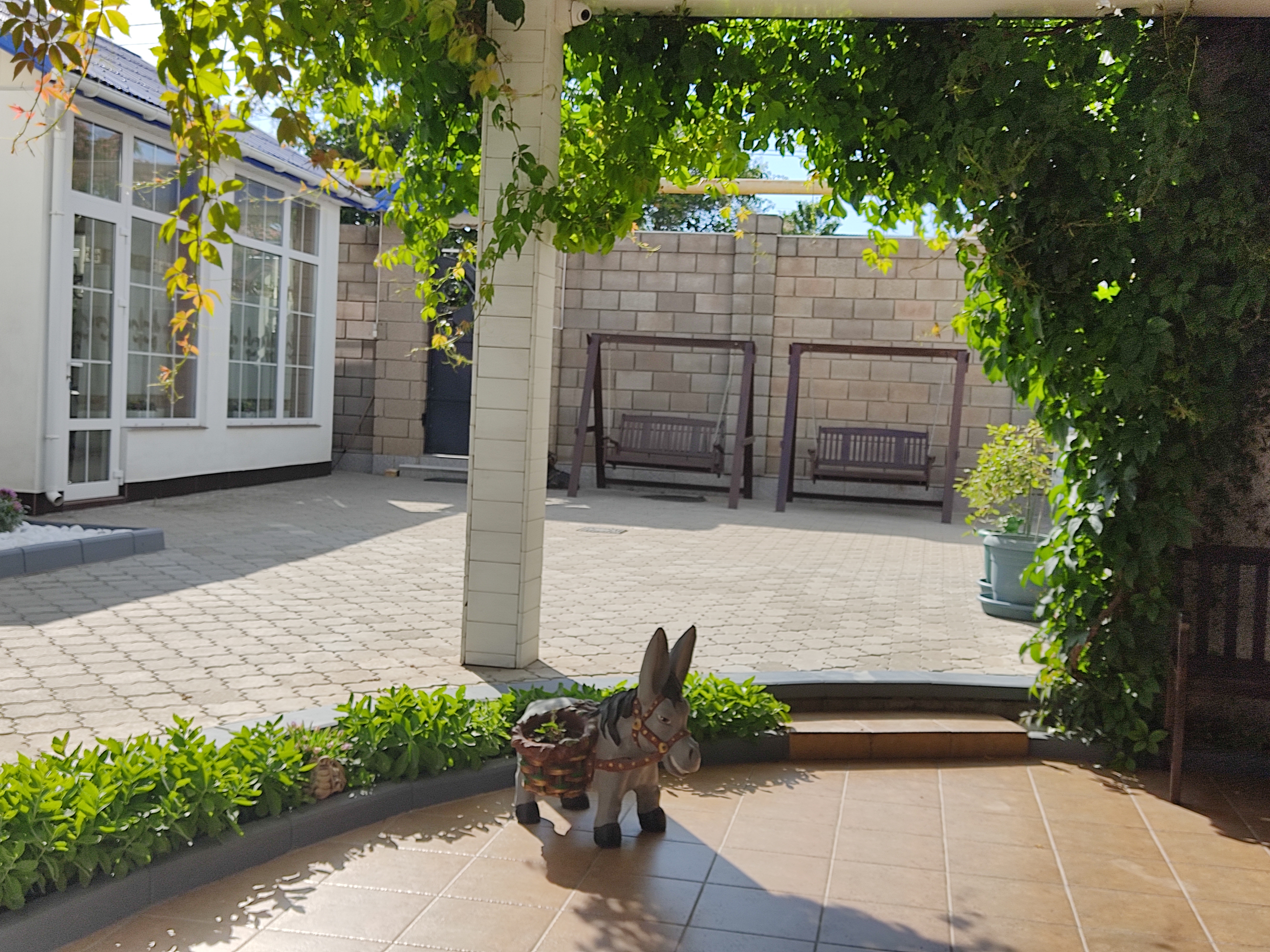 Фото Андромеда