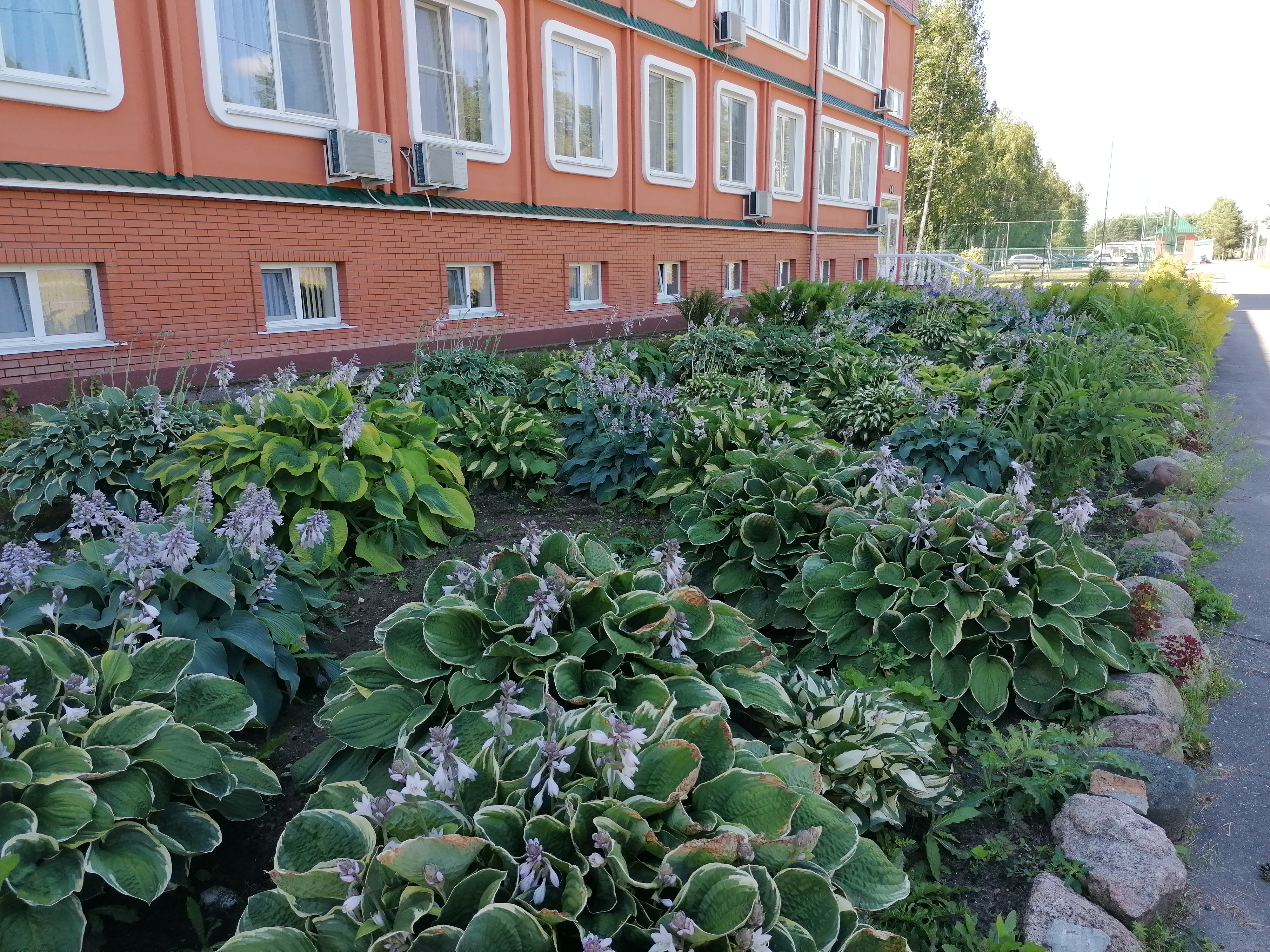 Фото Александровская Слобода