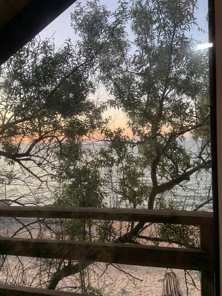 Фото Домик у самого синего моря