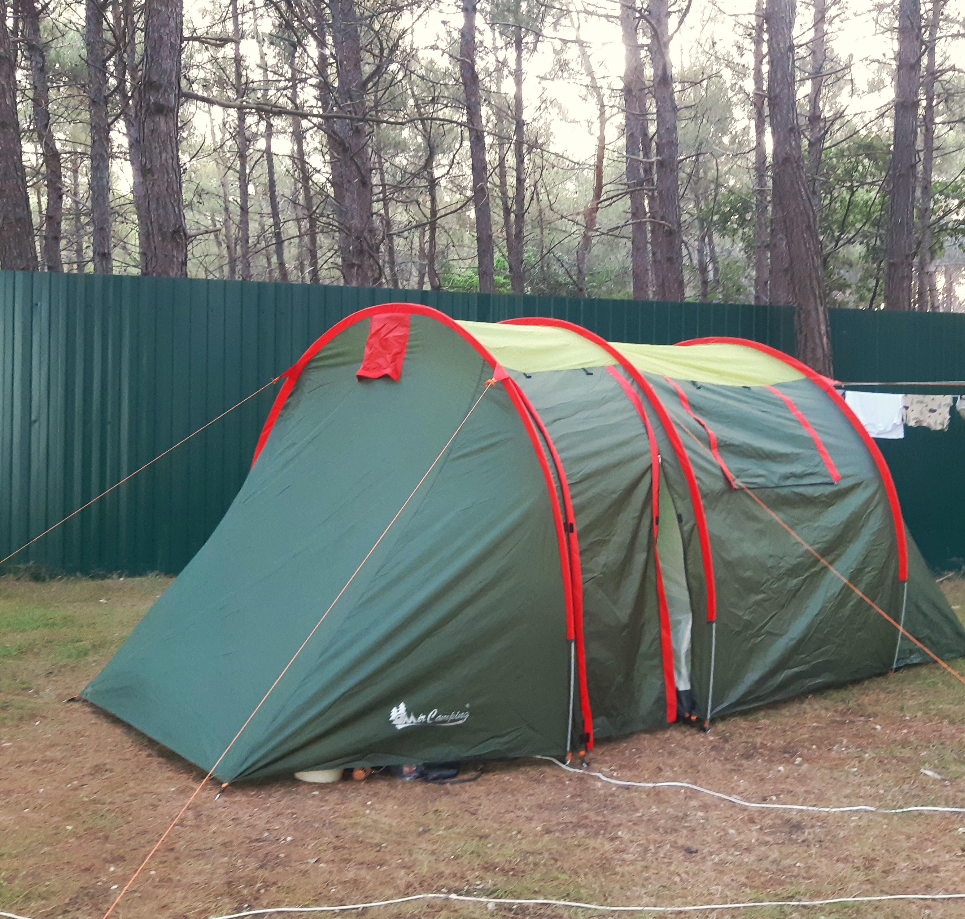 Фото Под соснами