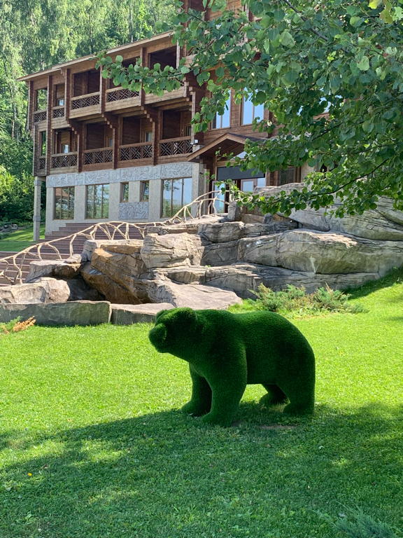 Фото Цэт Берхино