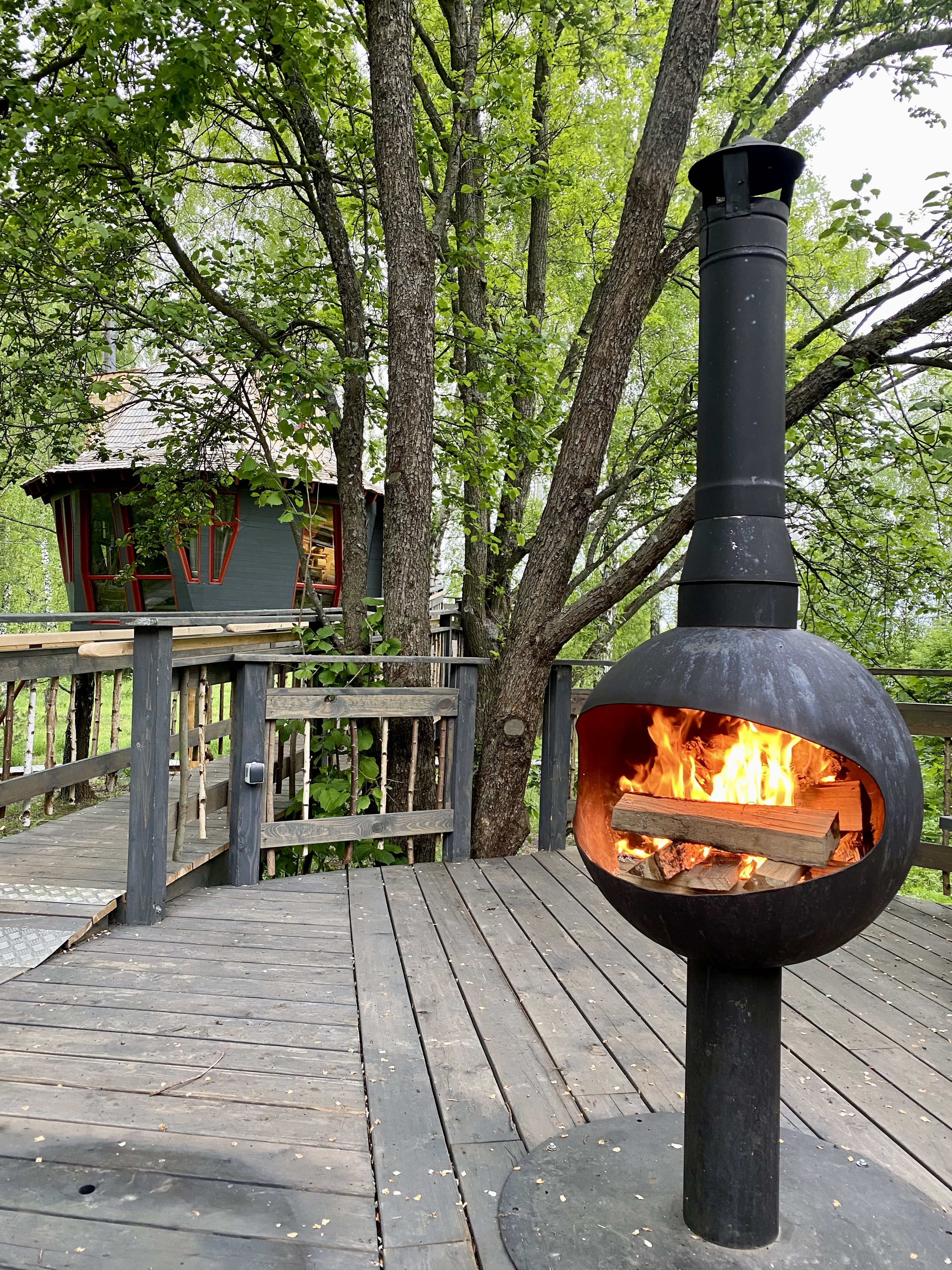 Фото Лапочкино гнездо Дома на деревьях