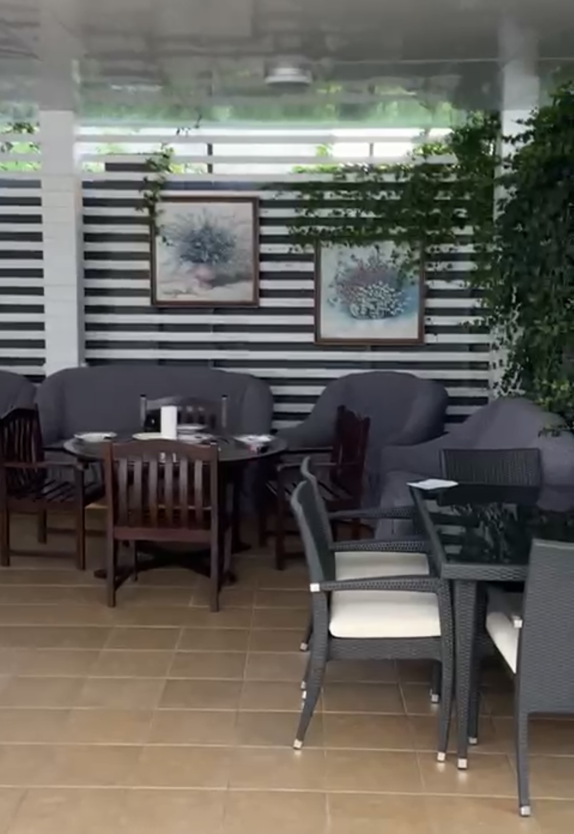 Фото Андромеда