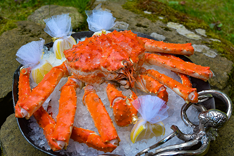 Фото Артиленд