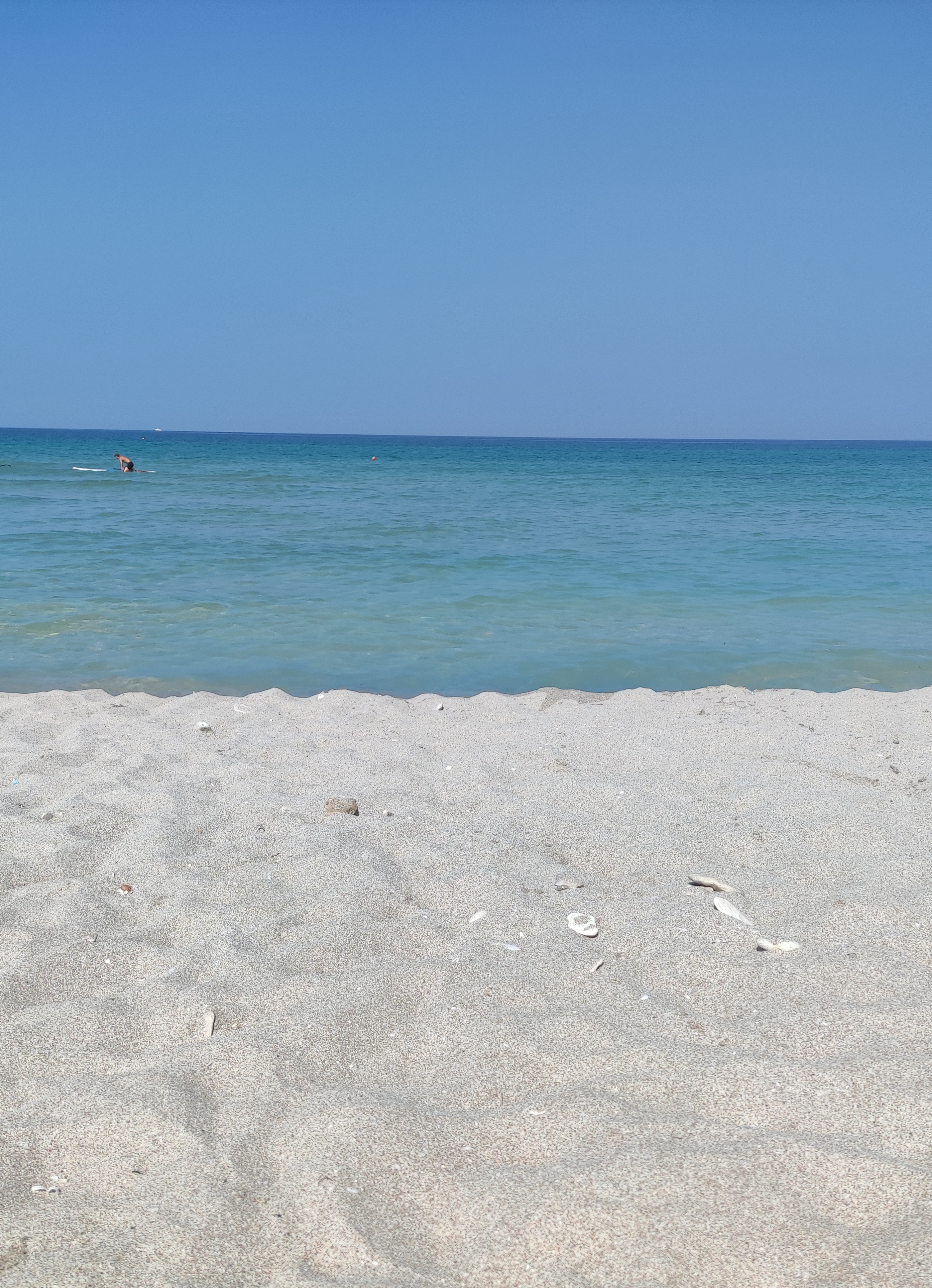 Фото Клевер