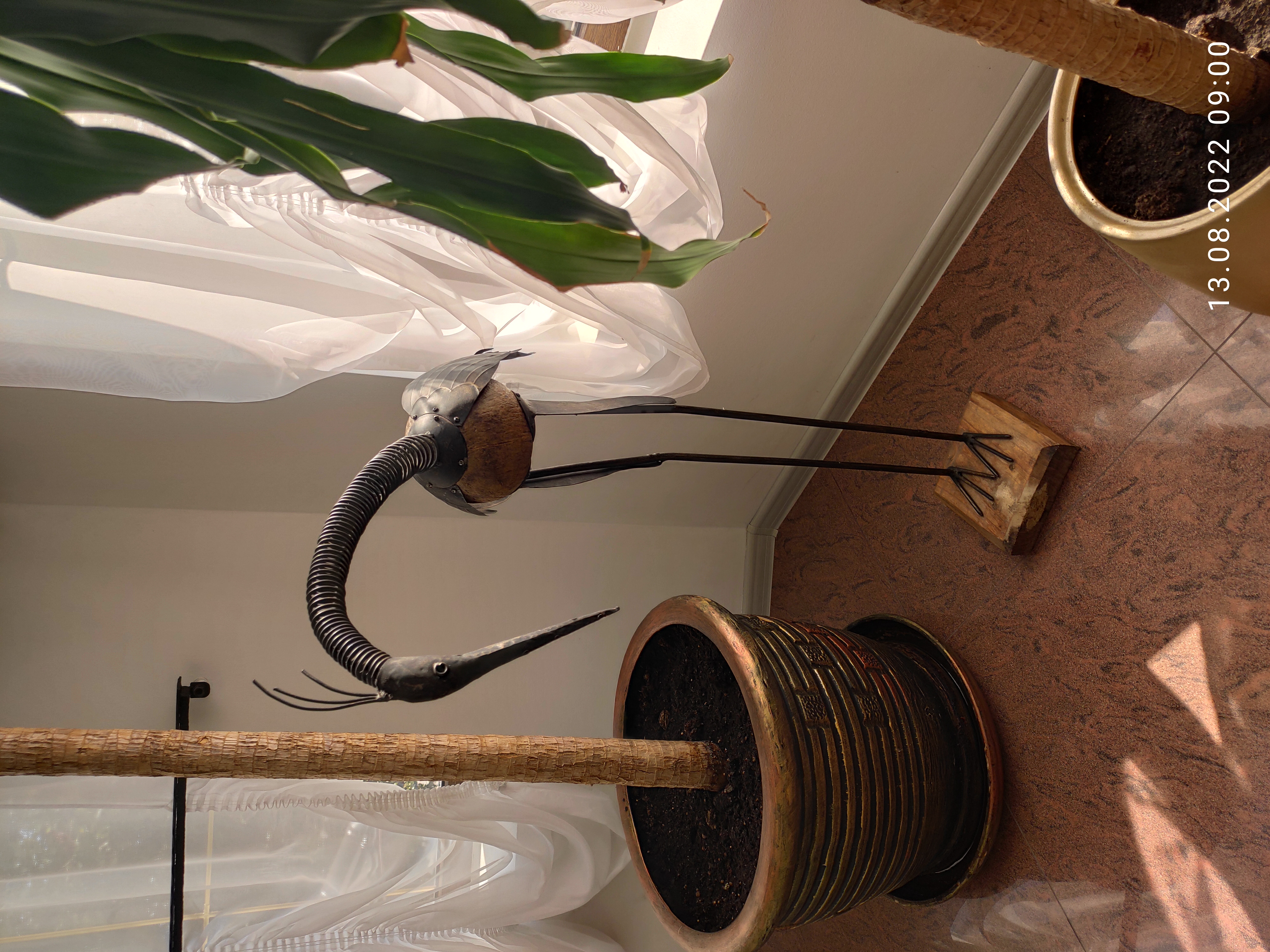 Фото Чулпан