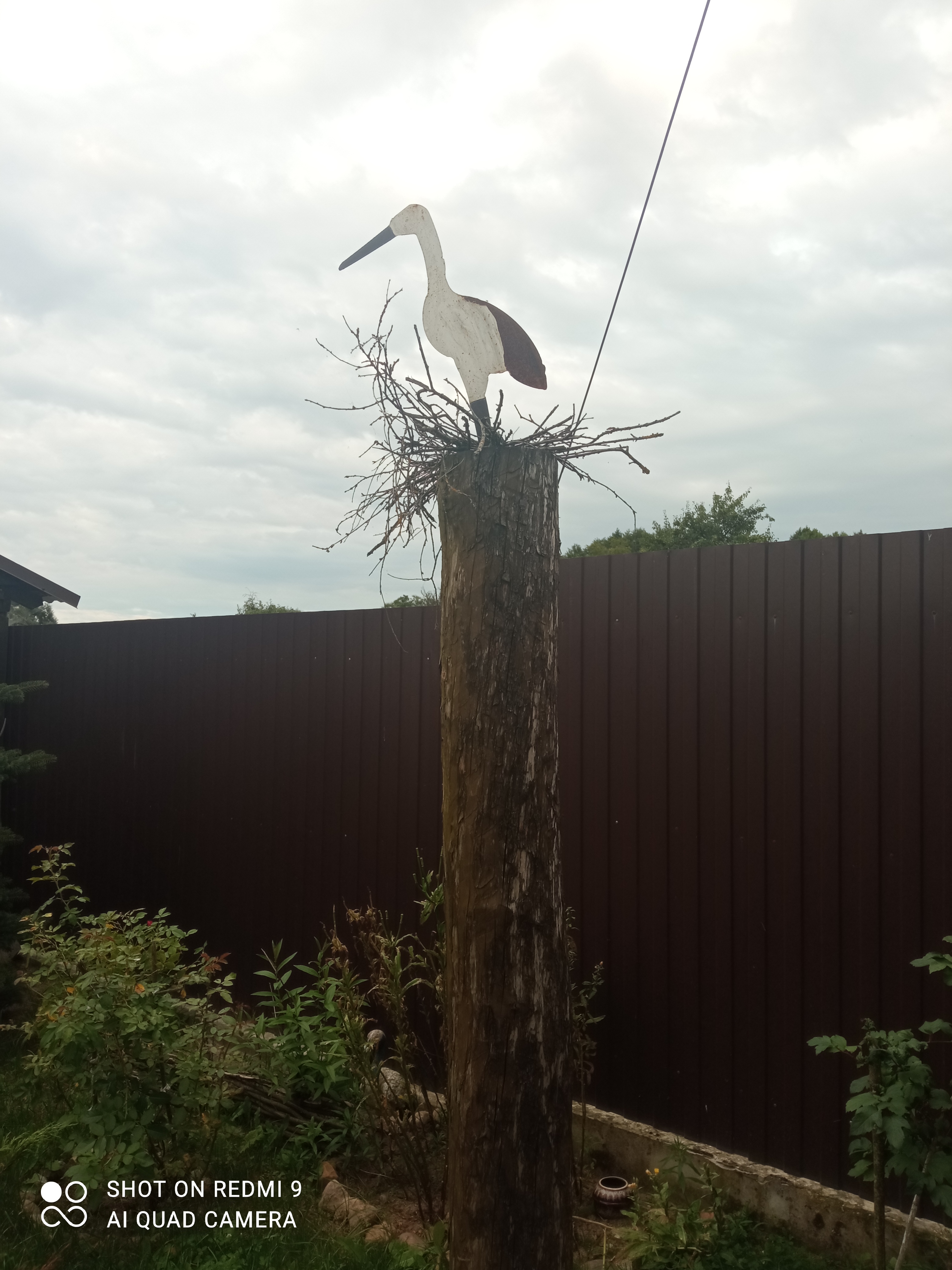 Фото Беловежское поместье