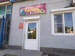 Багира (просп. Бумажников, 20), зоомагазин в Астрахани