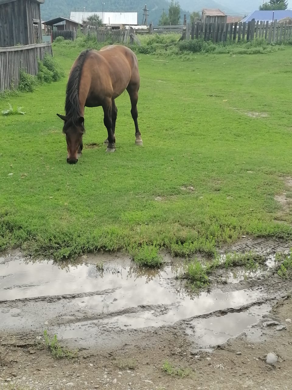 Фото Фазенда