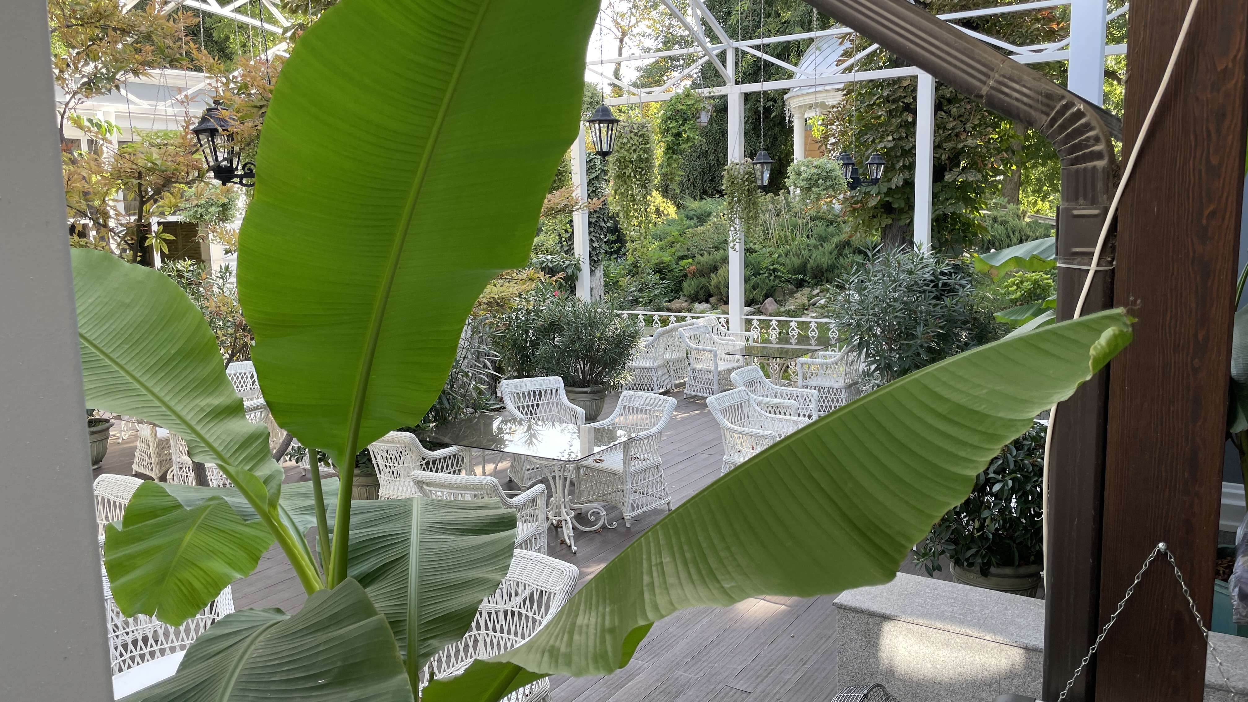 Фото Престиж