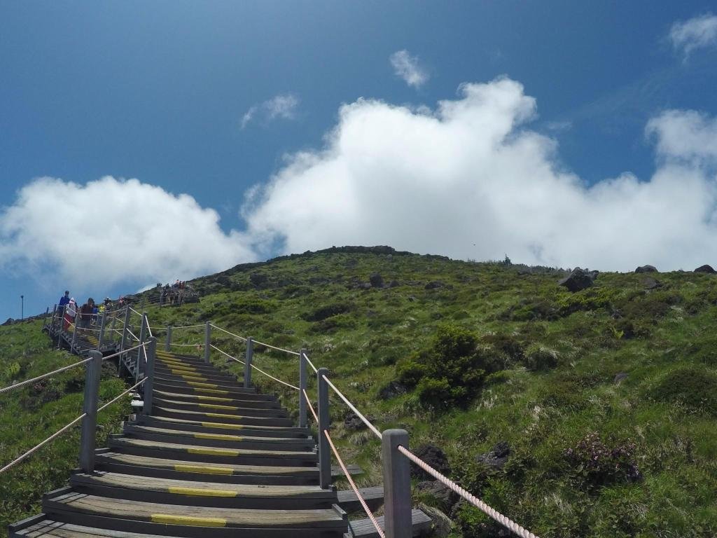 Фото Jeju Stay Hotel