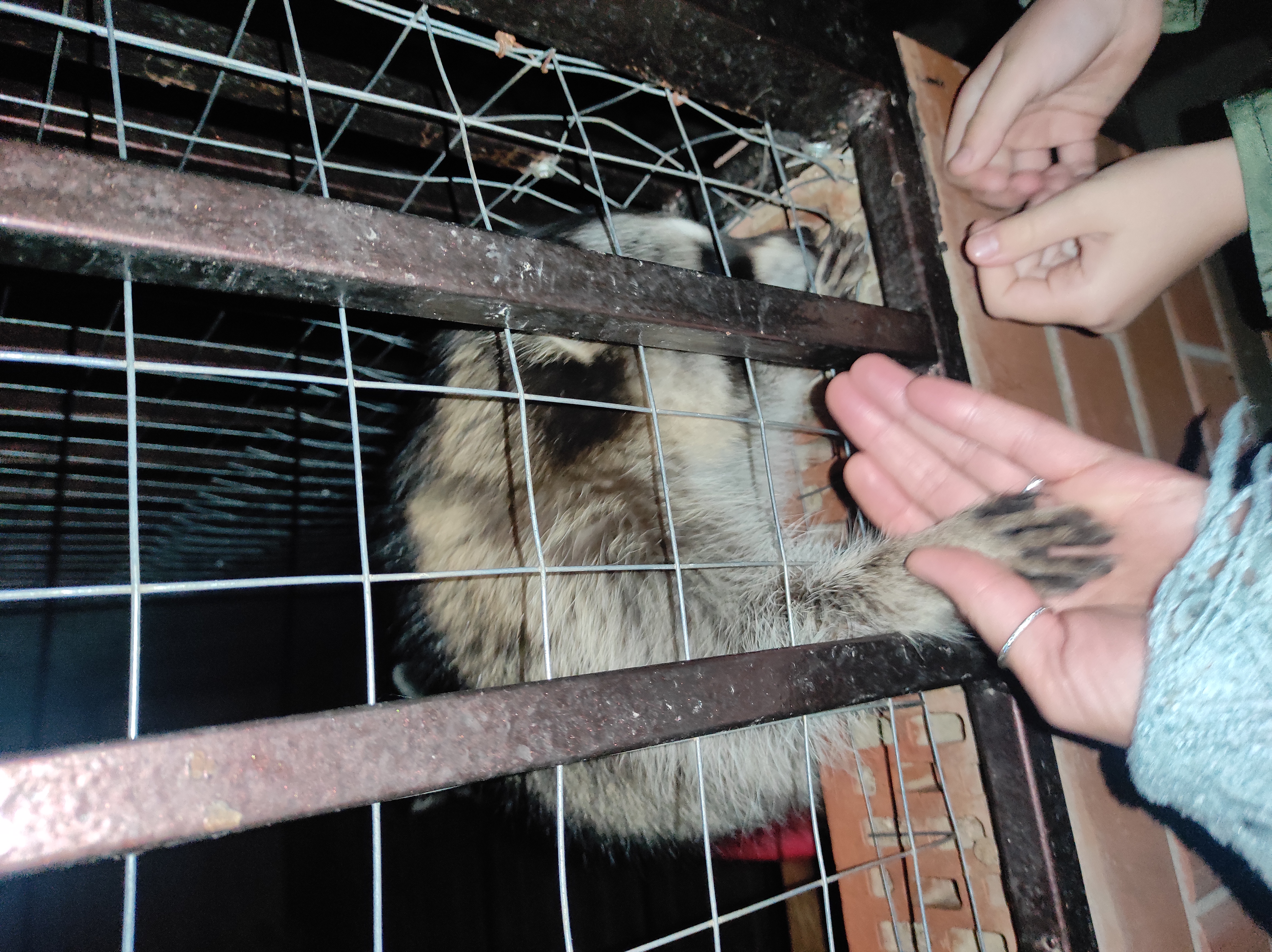 Фото Villa Tsarina