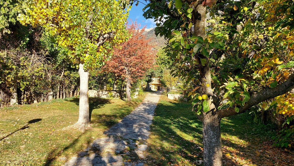 Фото Camping Solau