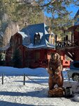 Телецкие Терема (selo Artybash, Tayozhnaya ulitsa, 1), hotel