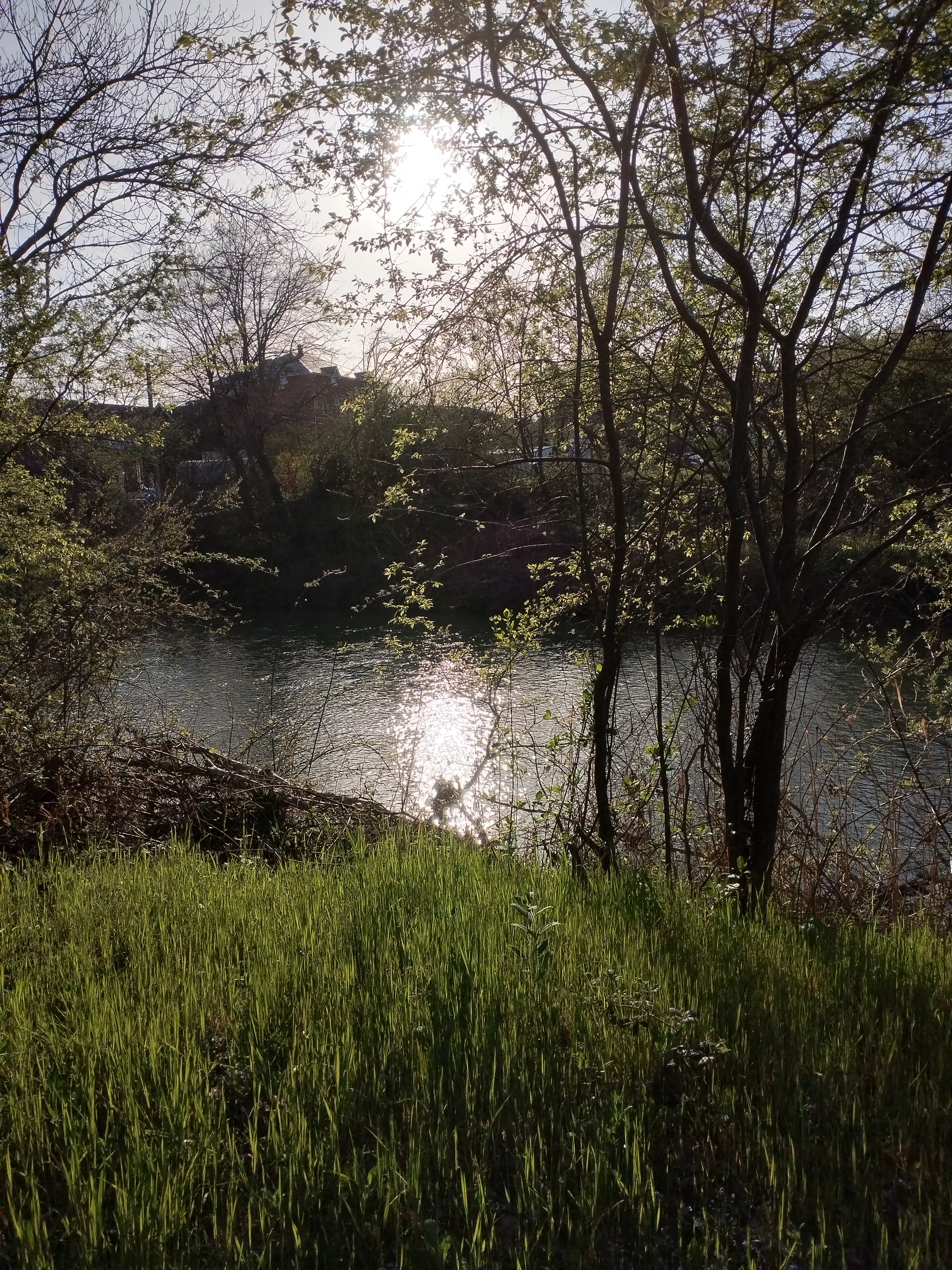 Фото Поляна