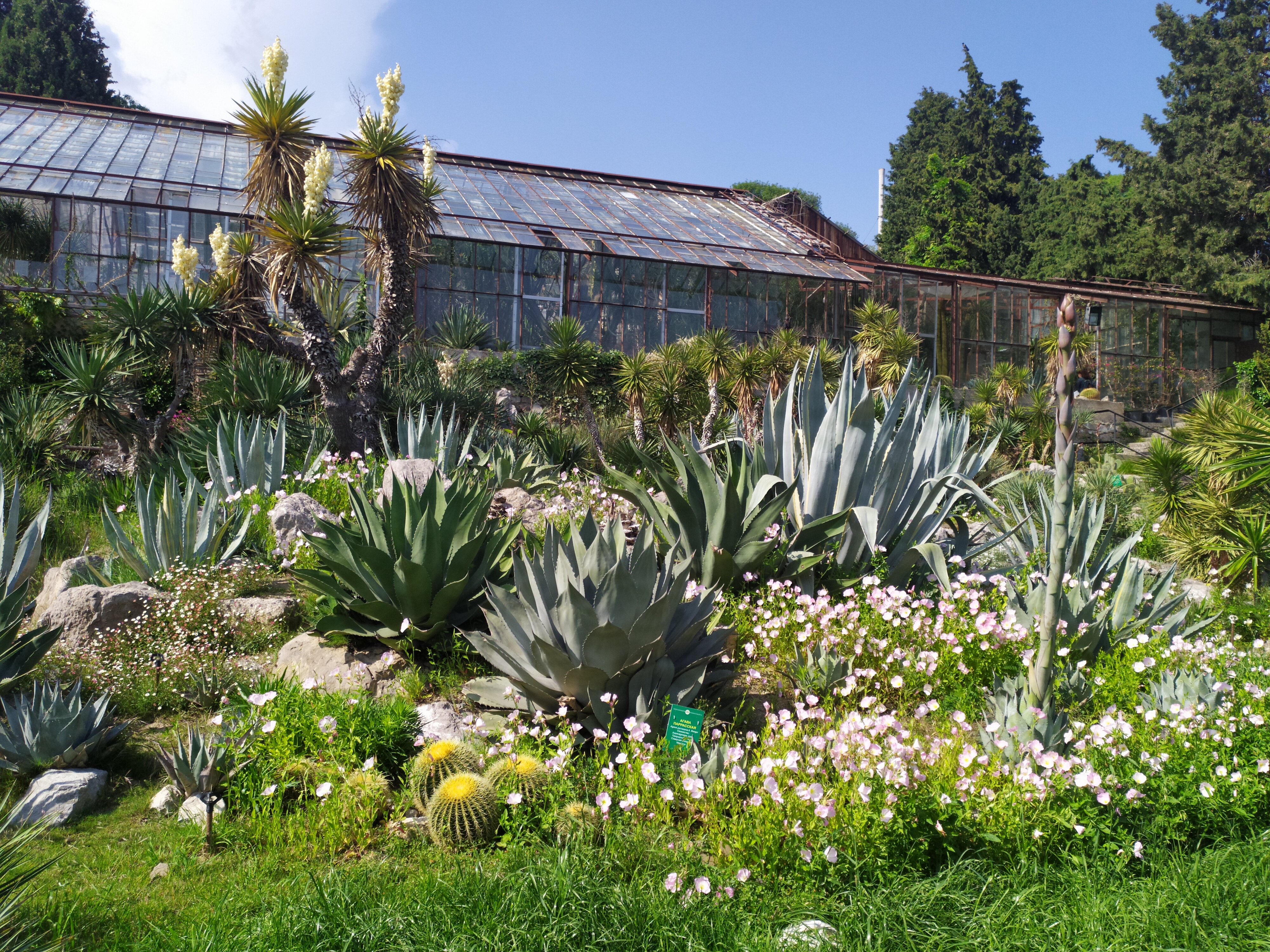 Қайын енеңмен жыныстық қатынас туралы өлең