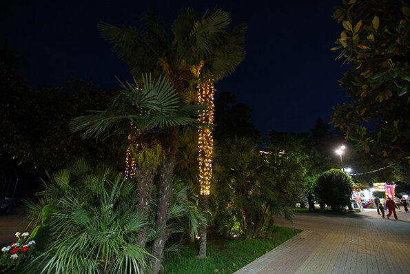 Фото Элизабет