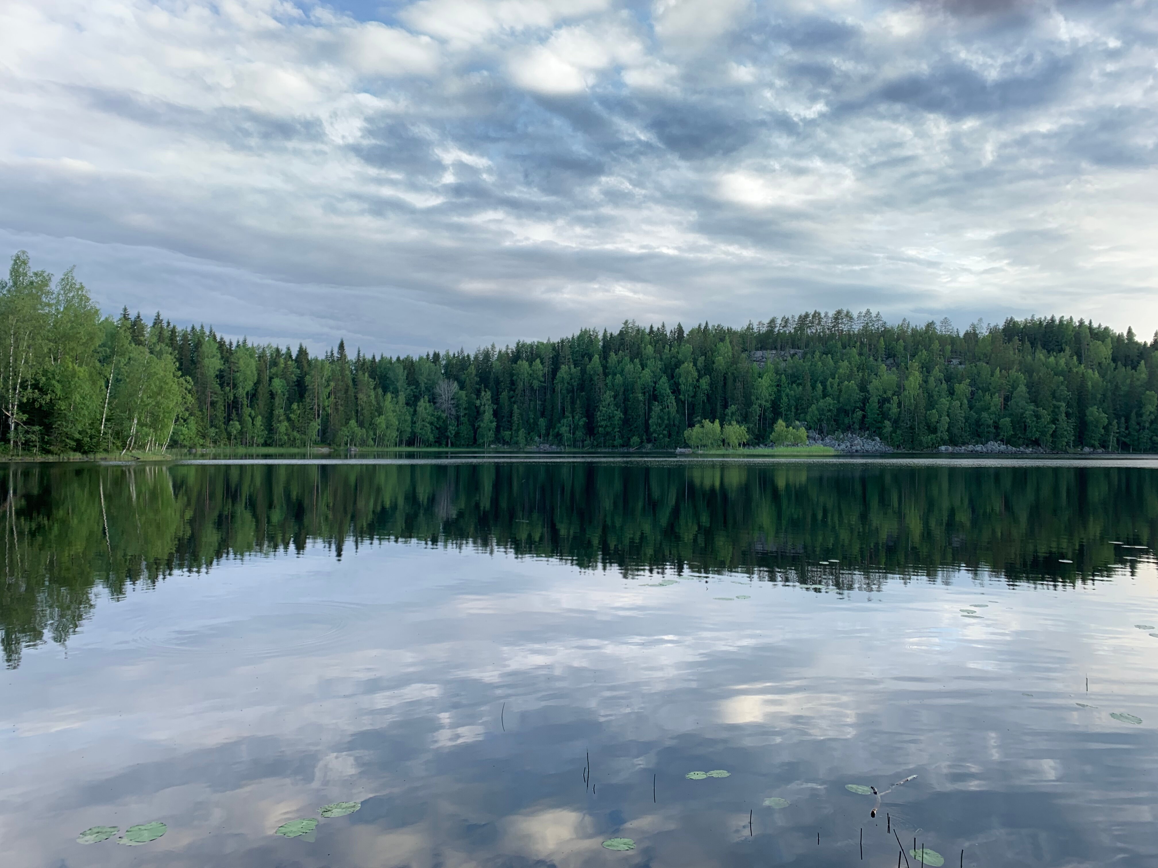 Фото Котопельто