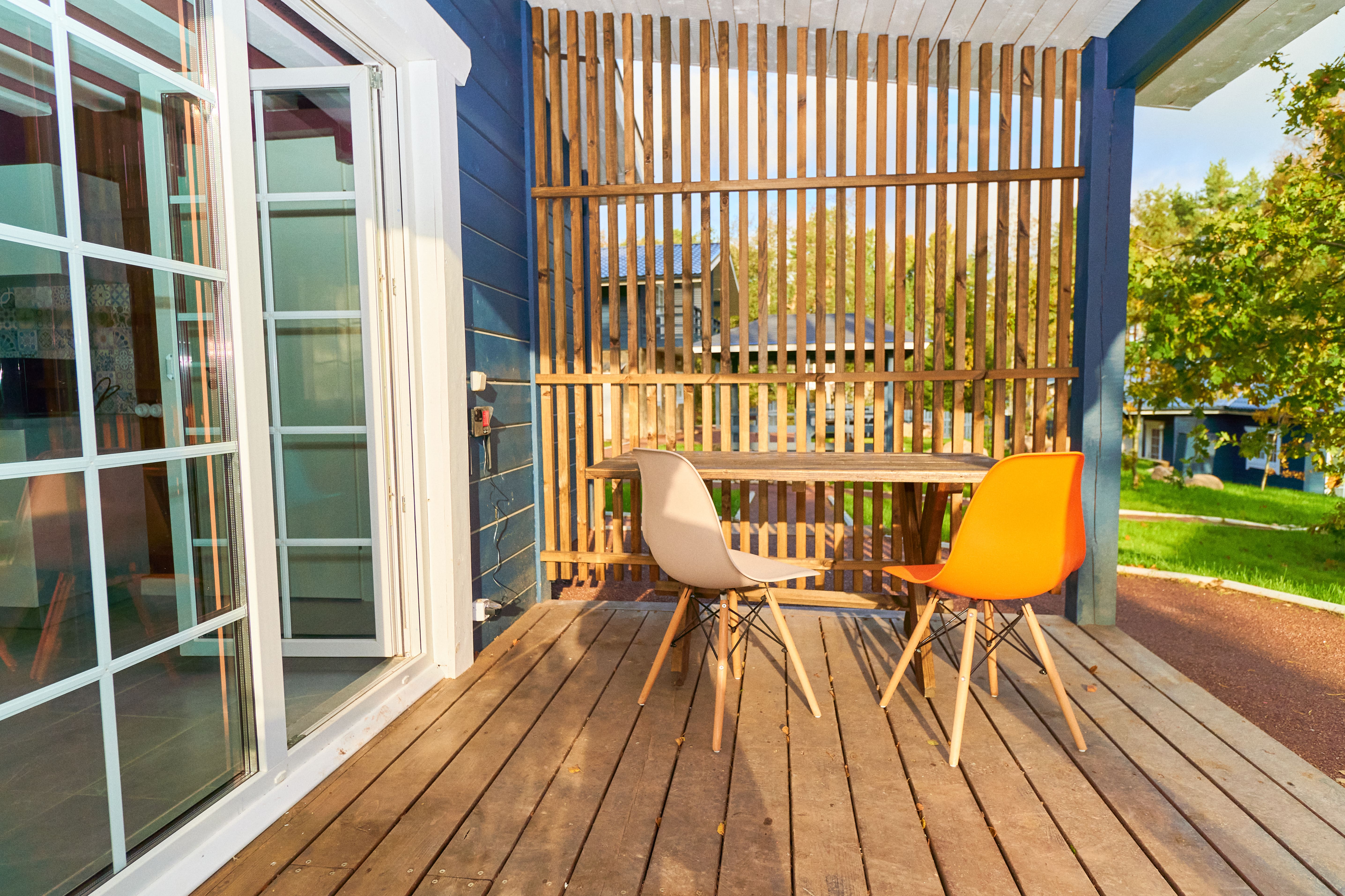 Фото Талони