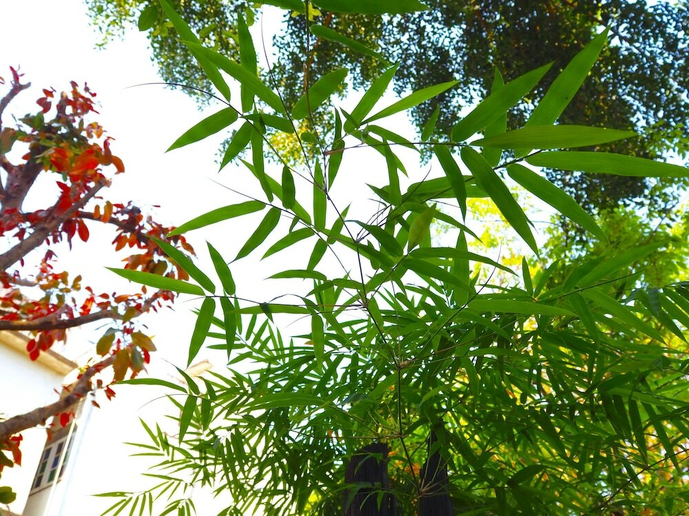 Фото Stay With Me Guesthouse