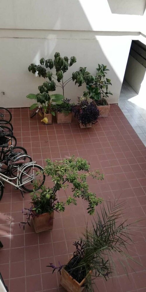 Фото Wish Suite Alameda Bulevar