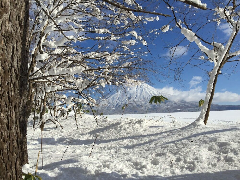 Фото Andaru Collection Niseko