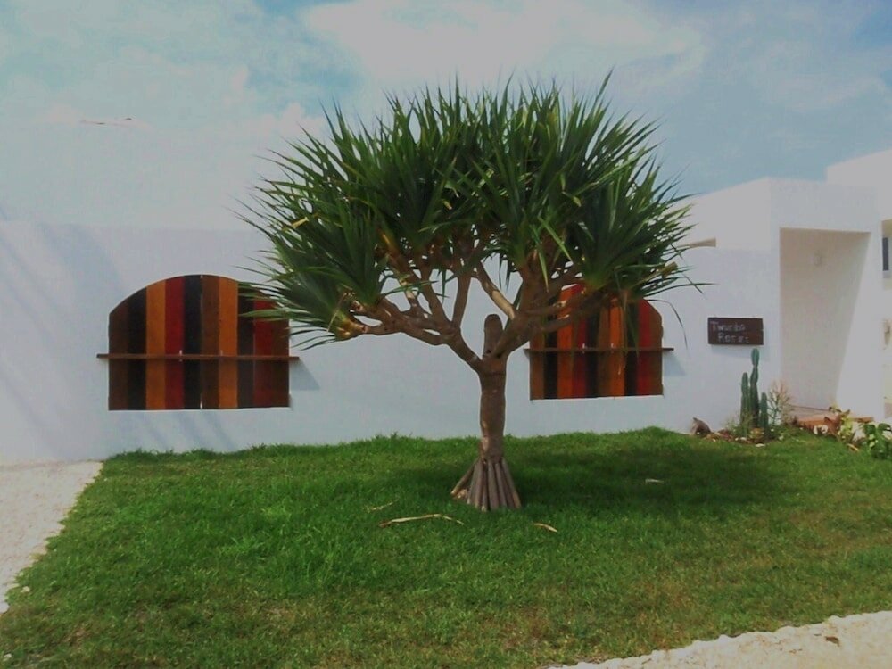 Фото Twuriba Resort