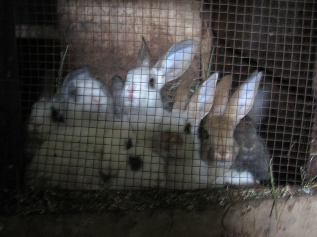 Фото Четыре стихии