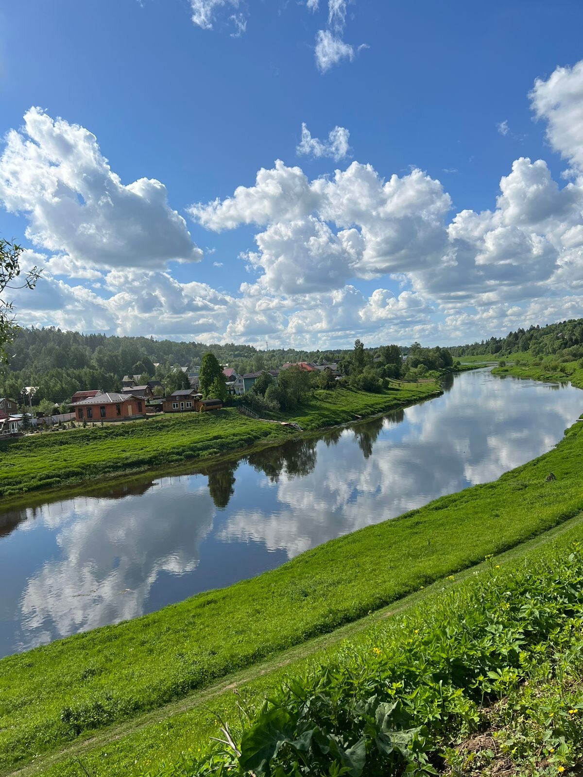 Фото Веселые гуси