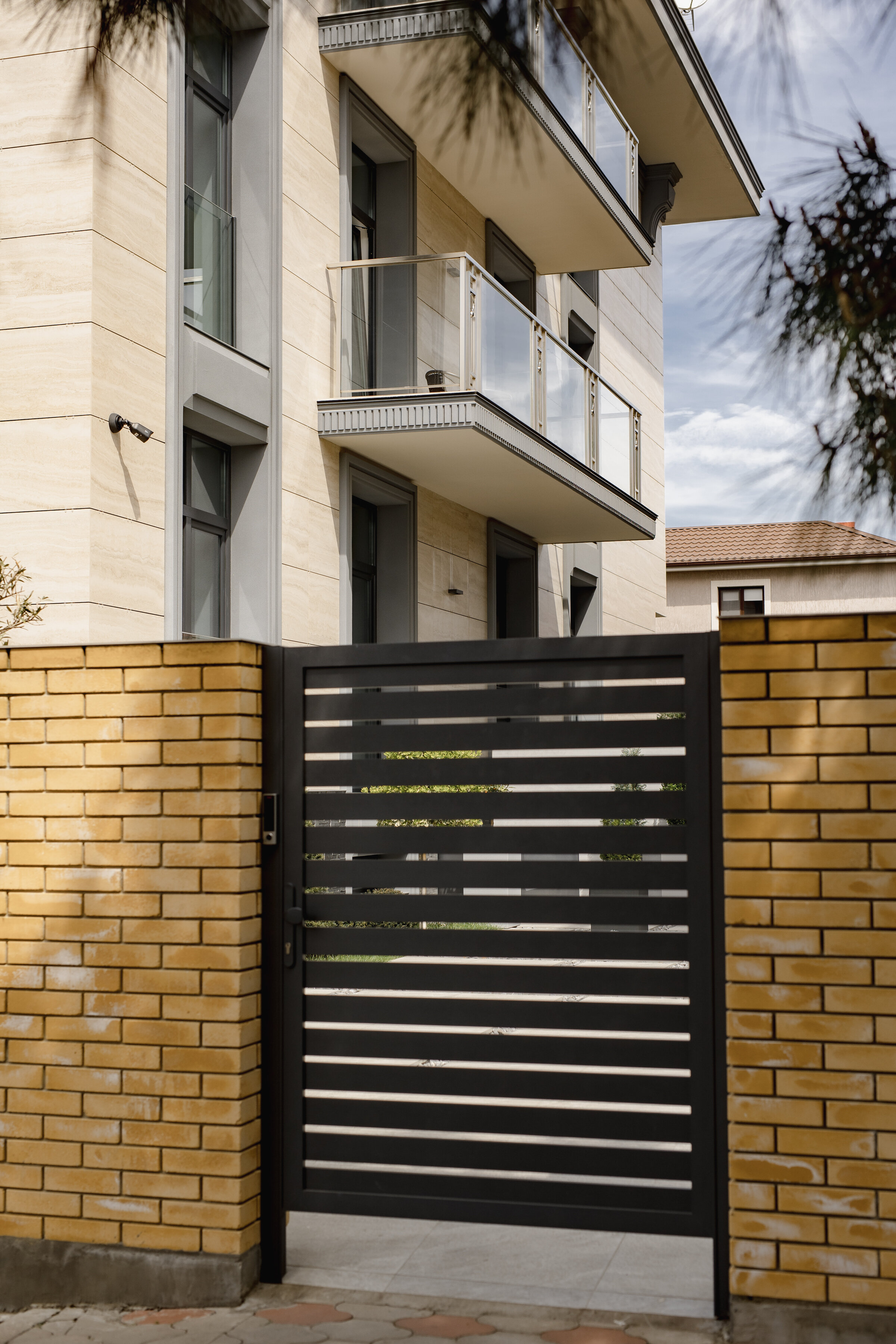 Фото Две оливы