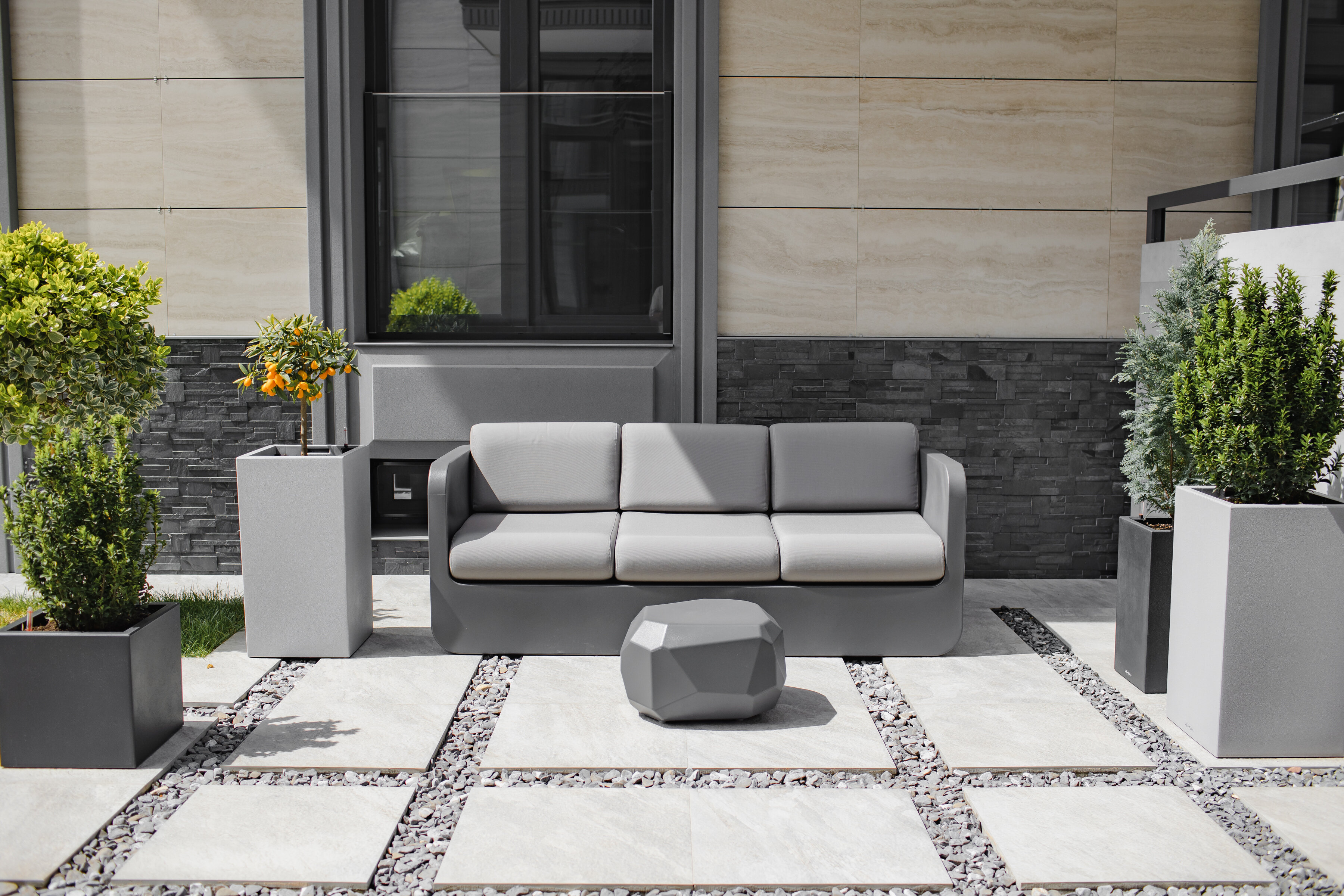 Фото Две оливы