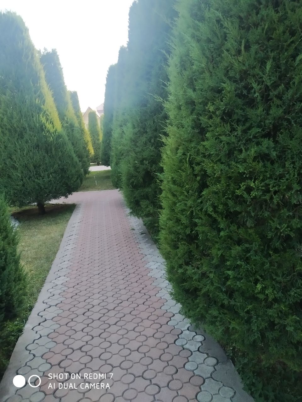 Фото Rohat Mirobod