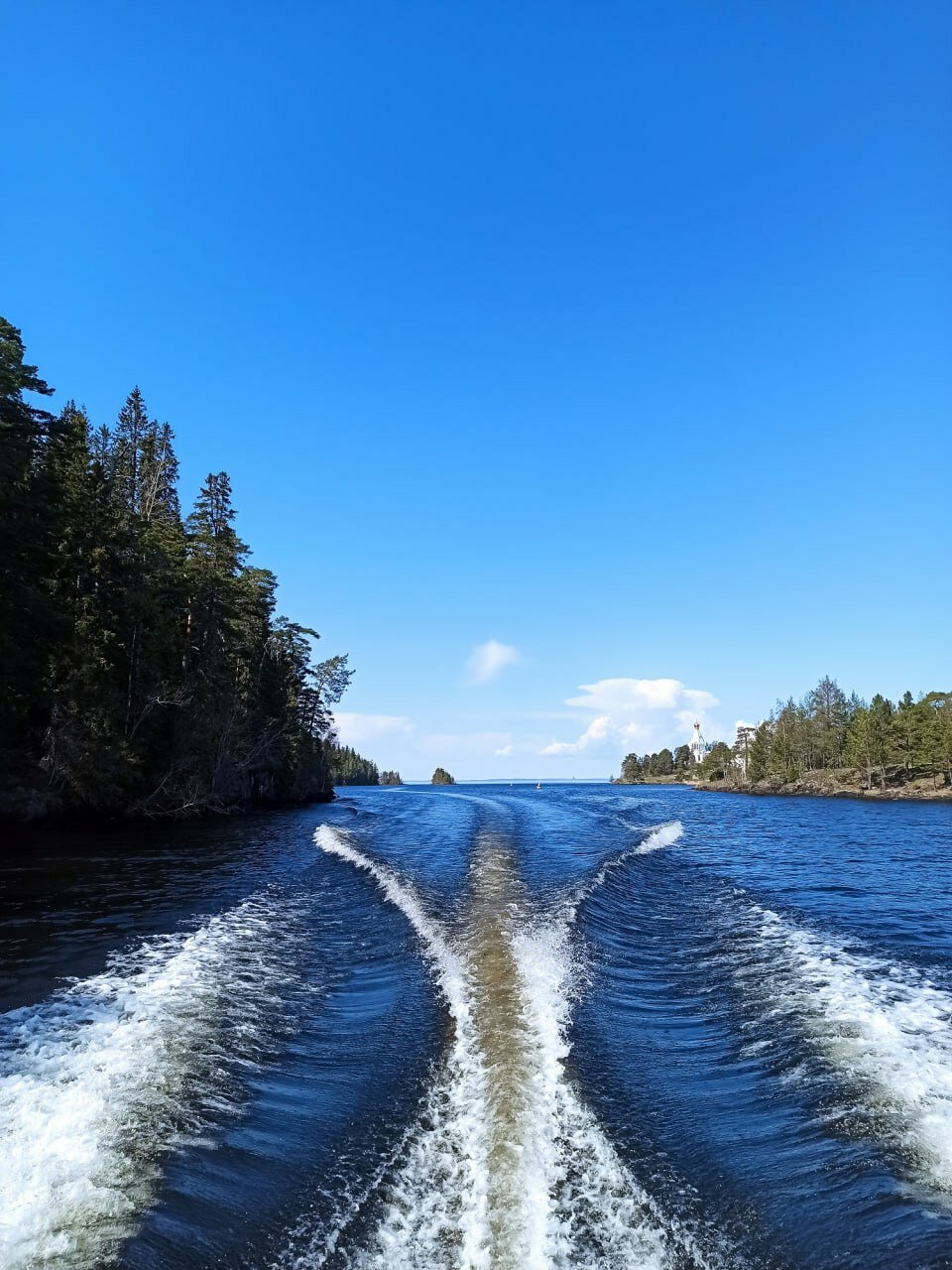 Фото Ёлки-Ладога