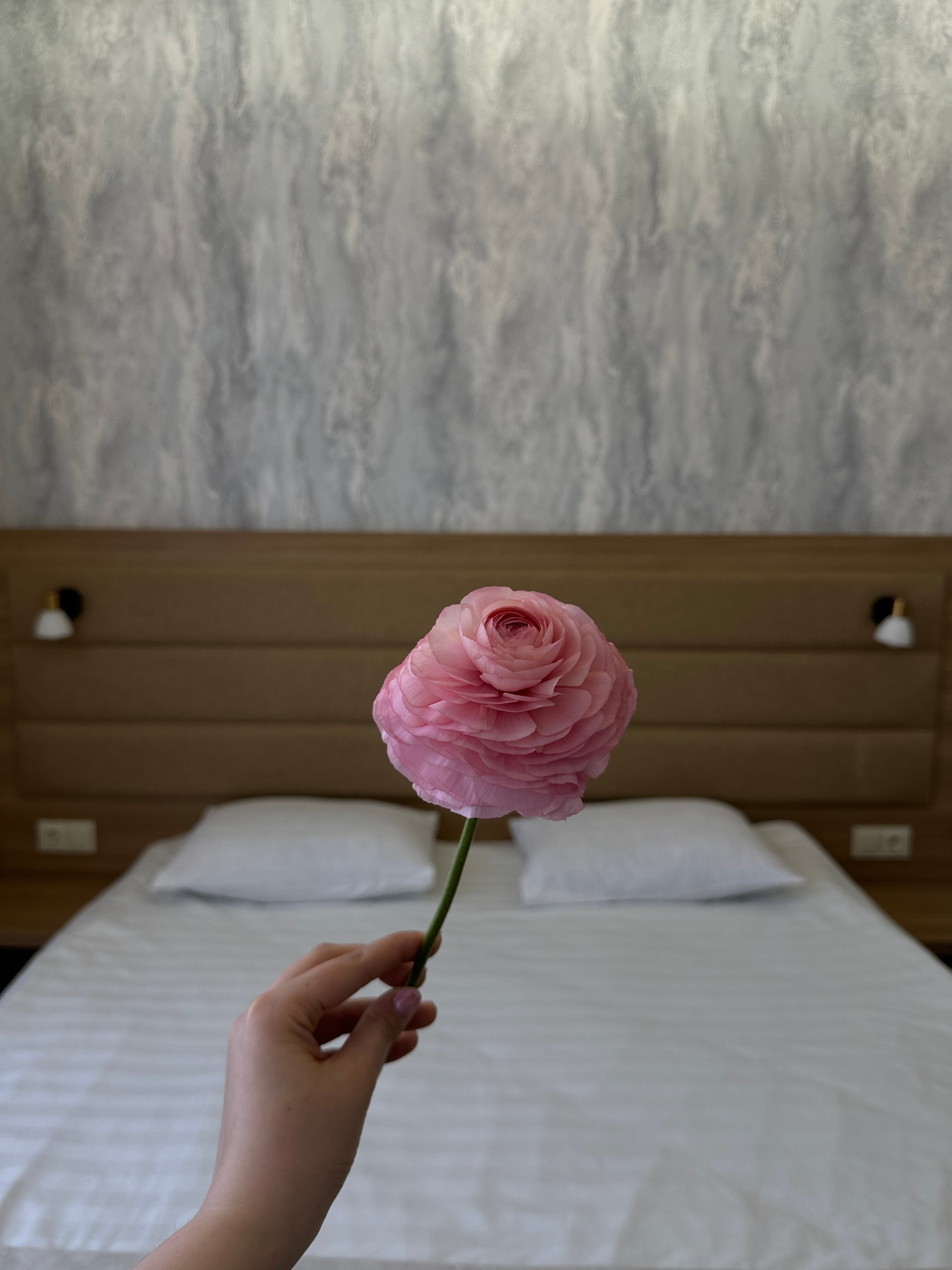 Фото Астория