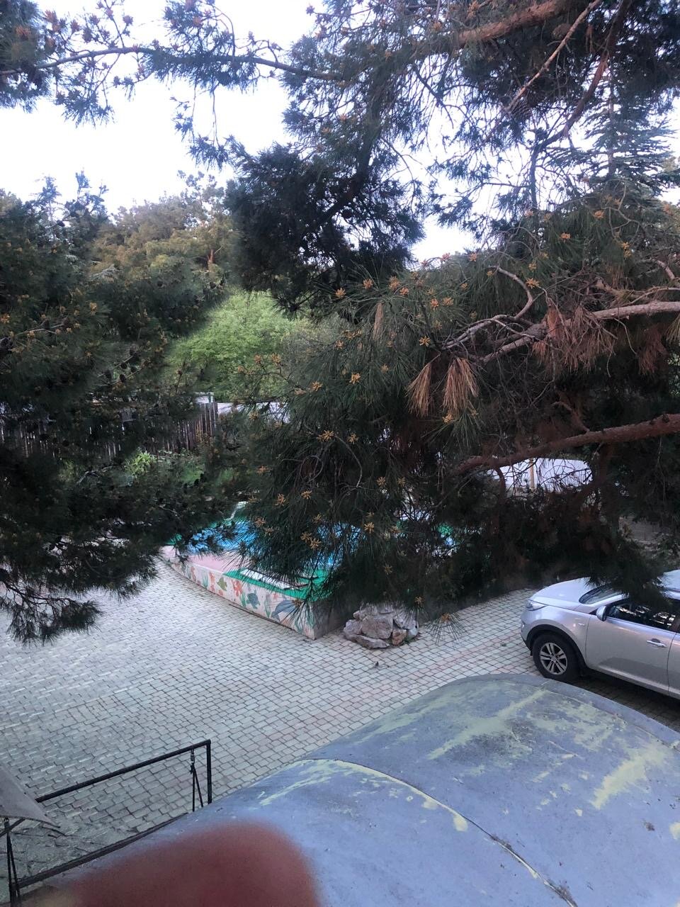 Фото Лесной уют