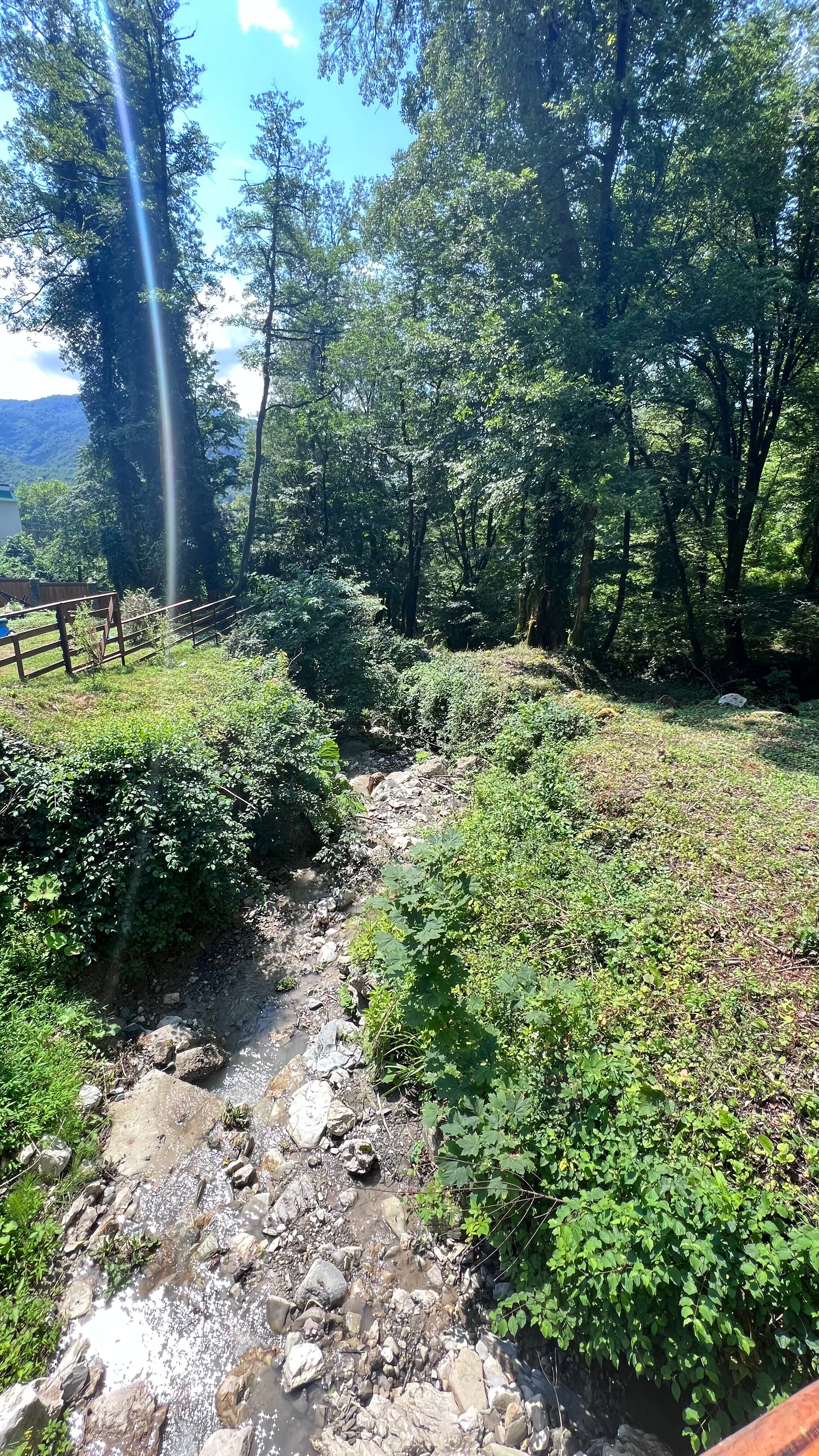 Фото Шале A-Frame Forrest