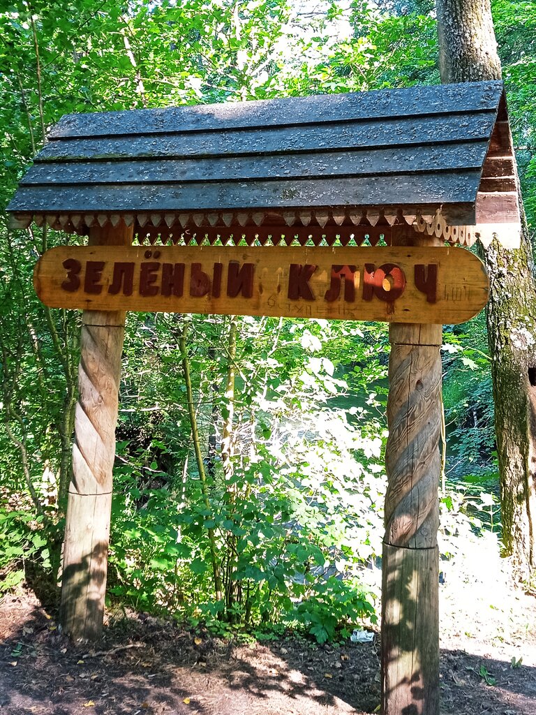 Зеленый ключ марий эл фото Зелёный ключ, spring, stream, Republic of Mari El, Volzhskiy rayon, Obshiyarskoy