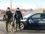 Chastnoye okhrannoye predpriyatiye Sbn (Saltykovskaya Street, 8), security company