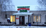 Grocery store (derevnya Panteleykovo, Topolinaya ulitsa, 5), grocery