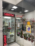 Flower shop (Otradnaya Street, 16) ، محل زهور