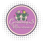 شعار