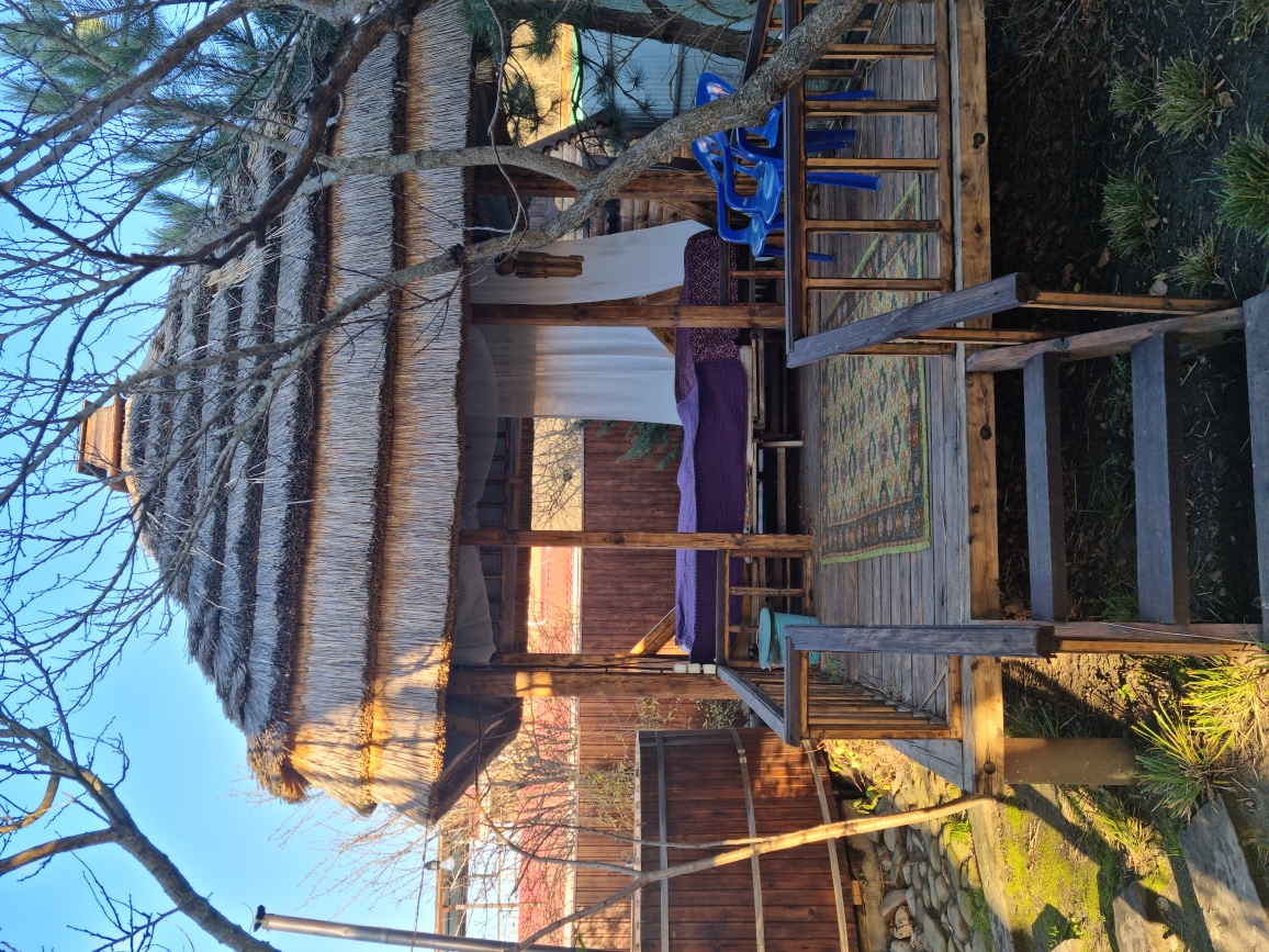 Фото Курочка Ряба