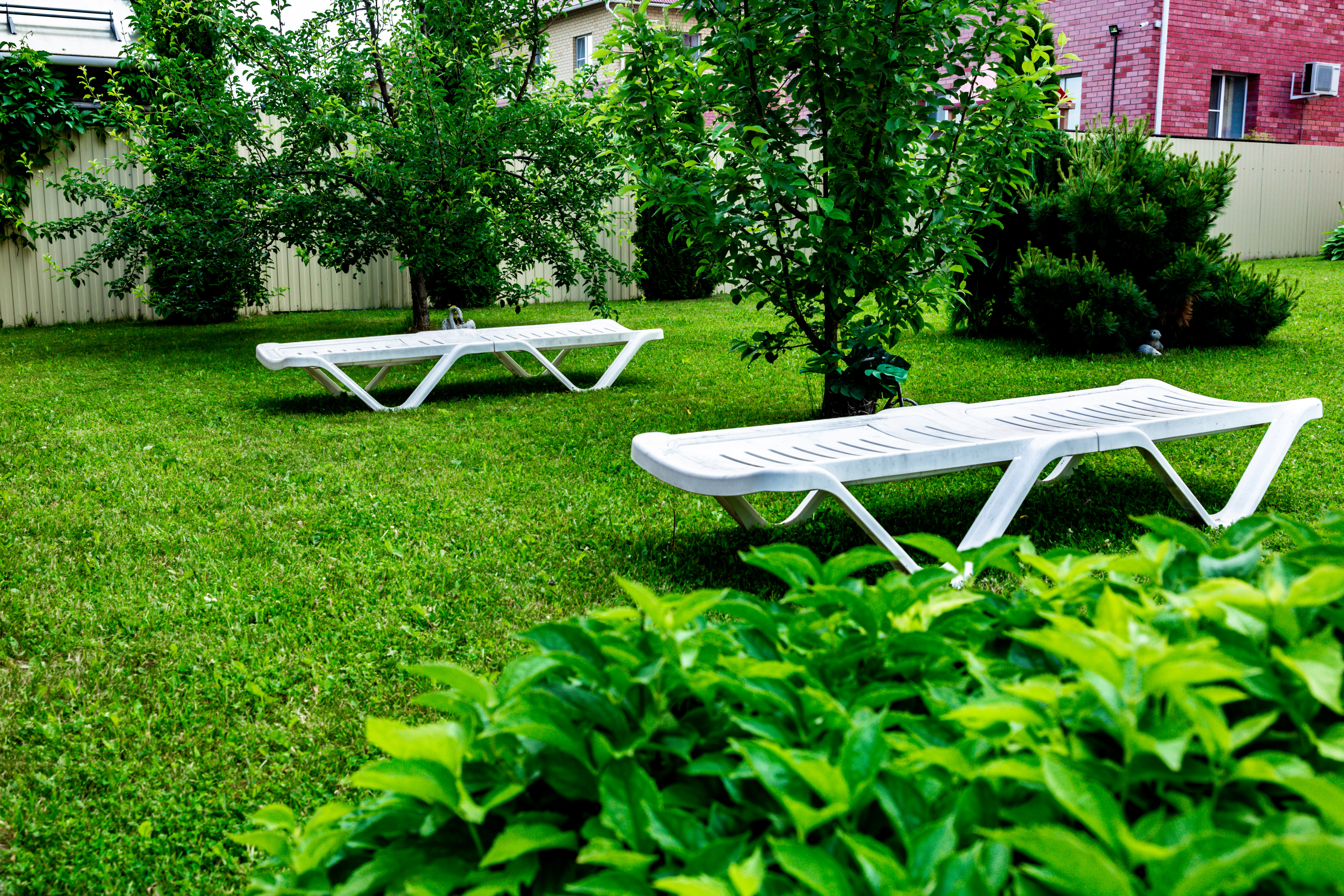 Фото Династия