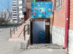 Акварельки (Красноармейский просп., 59А, Барнаул), бассейн в Барнауле