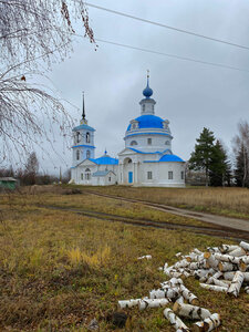 Церковь Покрова Пресвятой Богородицы в Морозовых Борках (Центральная ул., 60, село Морозовы Борки), православный храм в Рязанской области