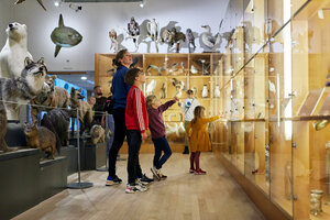 Natuurhistorisch Museum Rotterdam (Westzeedijk, 345), museum