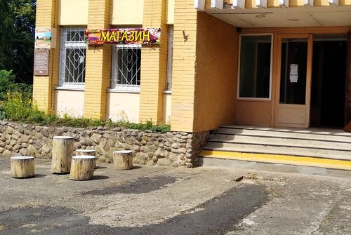Grocery Near the Birch, Brest District, photo