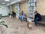 ТрастВет (Мебельная ул., 49/92), ветеринарная клиника в Санкт‑Петербурге
